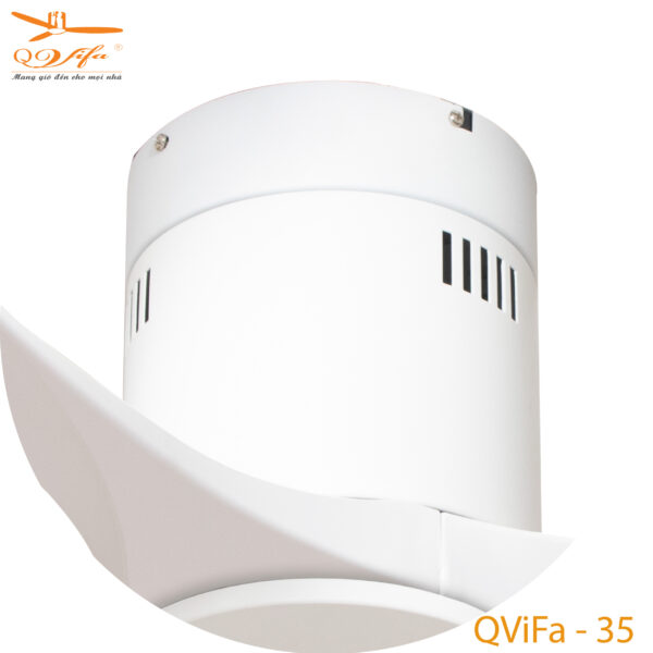 Qvifa - 35 - Ct01-01