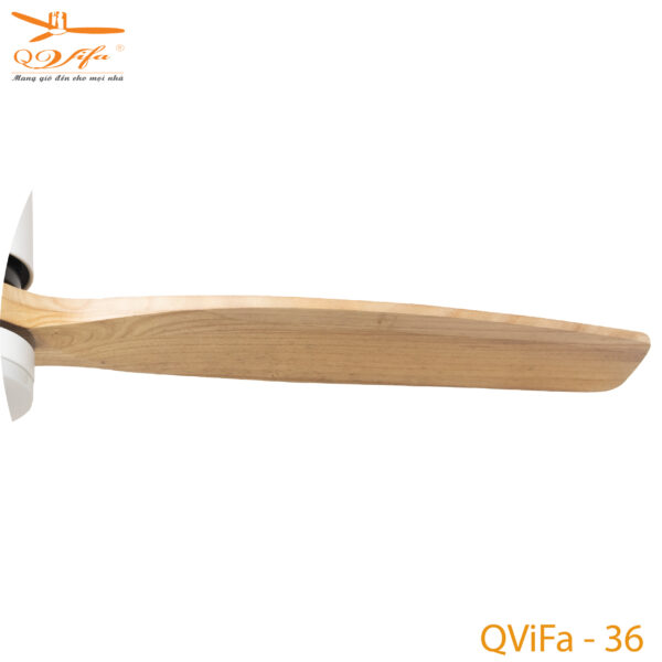 Qvifa - 36 - Ct03-01